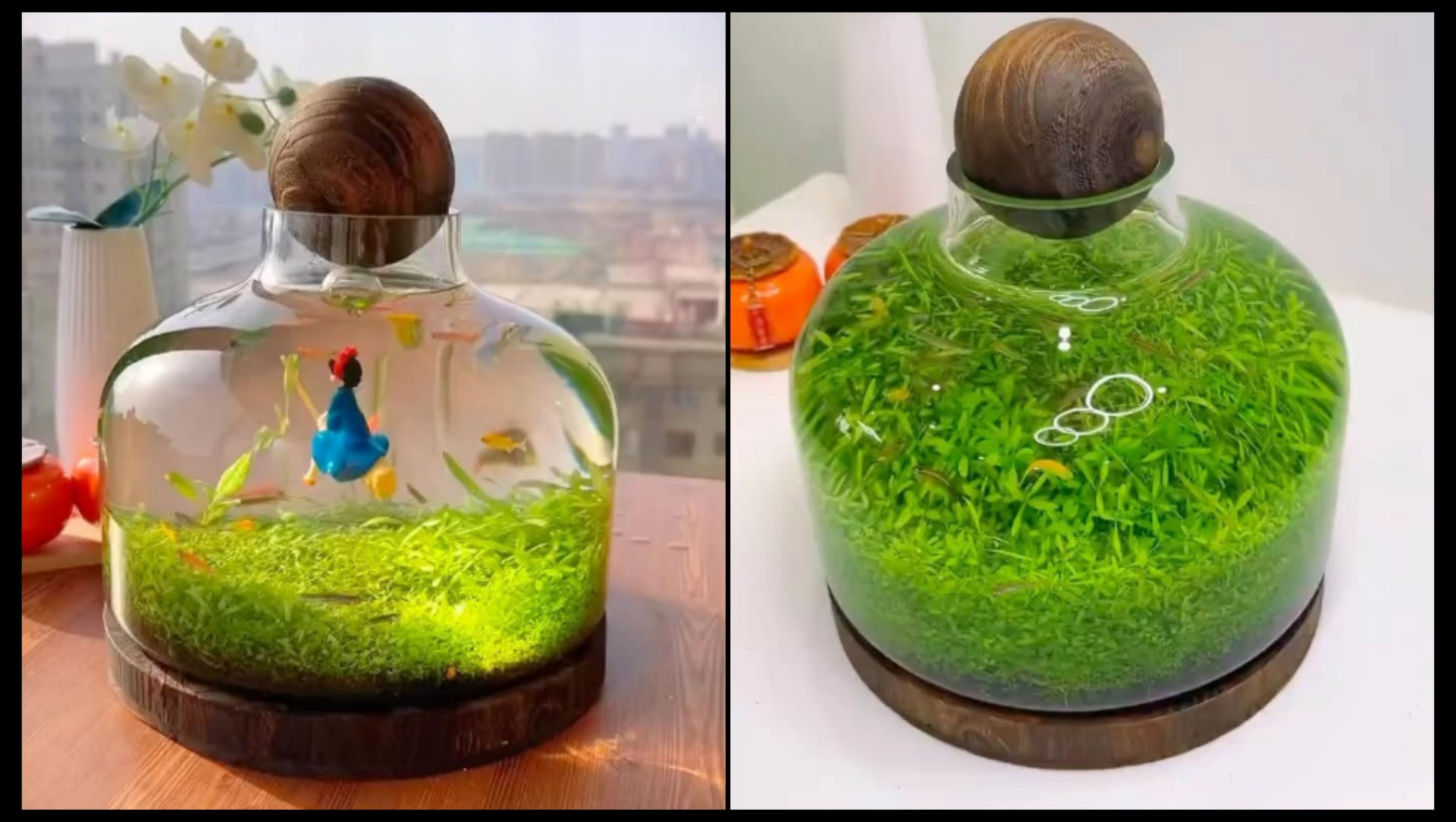 PlantedPro | Complete Eco-water Grass Tank