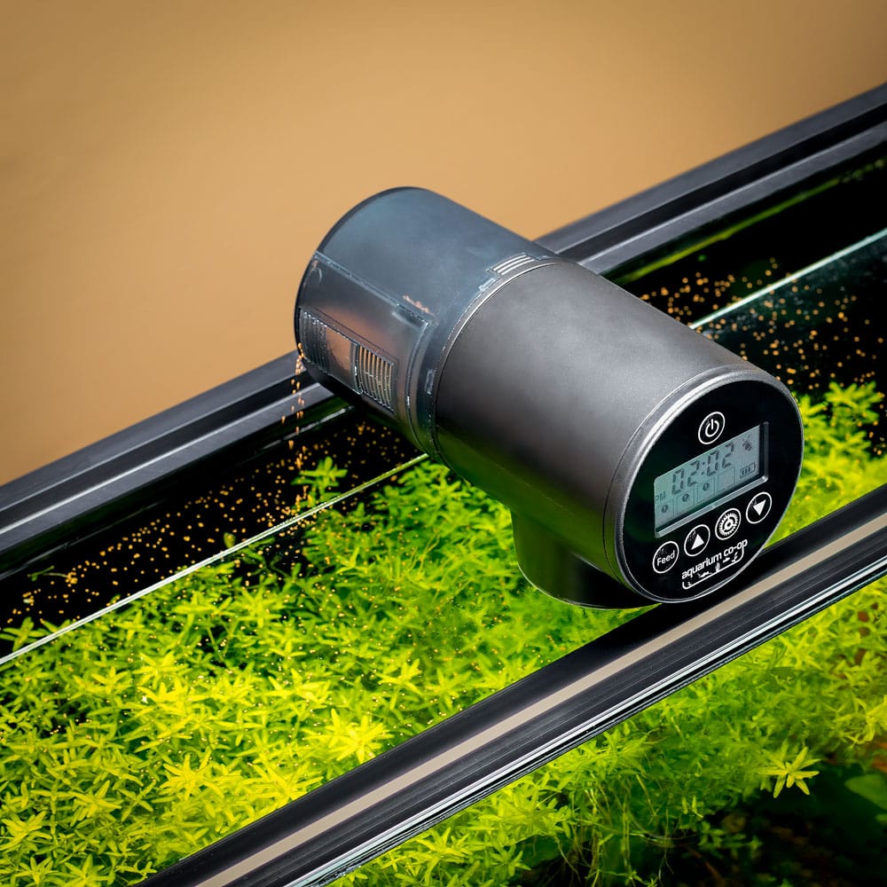 Revolutionize Your Fish Care Routine with This Automatic Feeder - PlantedPro