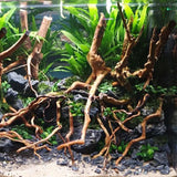 Natural Driftwood Root Trunk: Aquarium Plant Decoration - PlantedPro