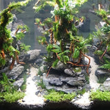 Natural Driftwood Root Trunk: Aquarium Plant Decoration - PlantedPro