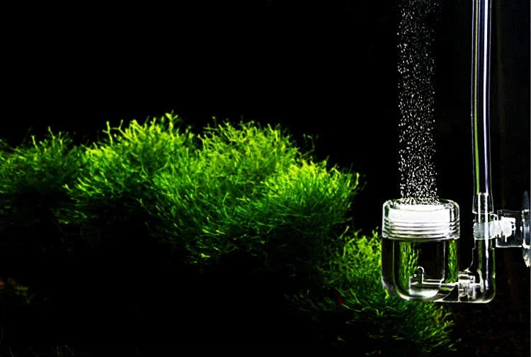 CO2 Diffuser Carbon Dioxide Atomizer