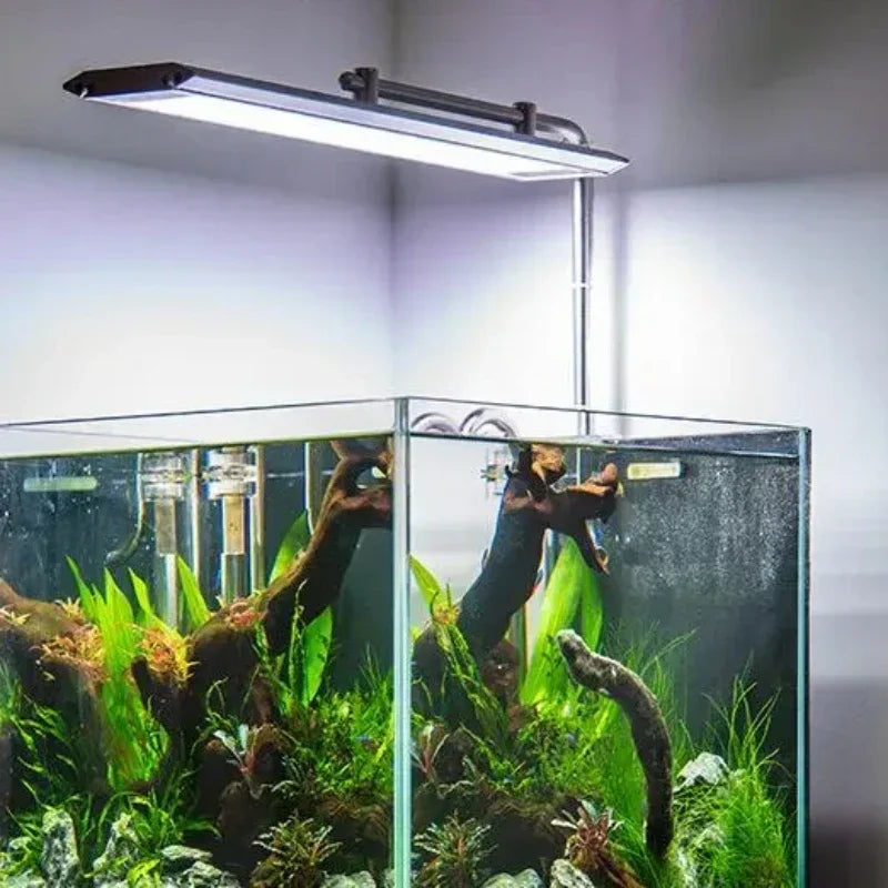 WEEK AQUA M Series LED Aquarium Light: APP Controlled – PlantedPro WEEK AQUA M Series LED Aquarium Light: APP Controlled – PlantedPro