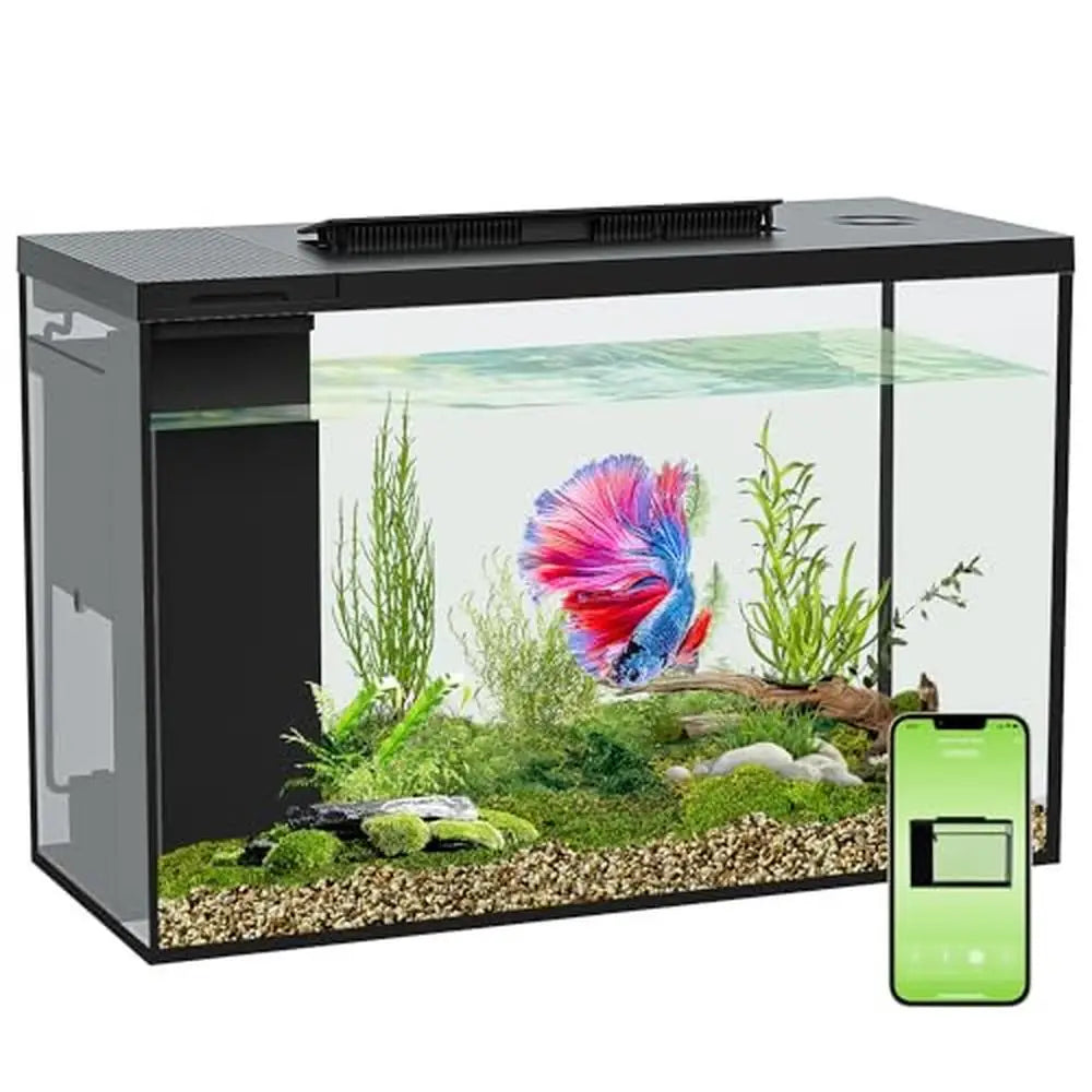 betta fish tank accessories small 4.5 Gallon Smart Bluetooth Betta Fish Tank with Filter, LED Light & Self-Cleaning – PlantedPro