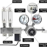 Pro Dual Stage CO2 Regulator - PlantedPro