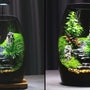 Green Hills - Moss Microlandscape: A Stunning Living Art Element for Your Space.