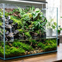 Beautiful desktop paludarium setup featuring a cascading waterfall, lush terrestrial plants, and a shallow aquatic zone.