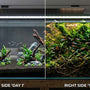 Split screen comparison of a new planted tank on day 1 versus a fully matured, deeply overgrown nature aquarium at year 2, showing long-term planted tank evolution.