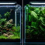 Side-by-side comparison showing a perfectly scaled planted aquascape on the left versus a small aquarium overwhelmed by an oversized Anubias plant on the right.