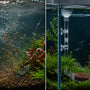 Split screen comparison of messy fish food scattering in filter flow versus zero-waste feeding with a transparent aquarium feeding tube and dish.