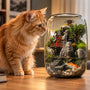 Curious orange cat safely investigating a pet-friendly indoor moss terrarium microlandscape on a desk.