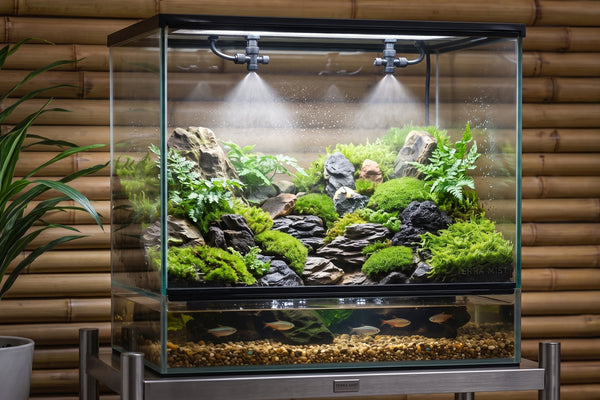 Lush rainforest paludarium featuring an automatic misting system spraying a fine fog over live moss, ferns, and driftwood with tropical fish swimming below.