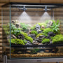 Lush rainforest paludarium featuring an automatic misting system spraying a fine fog over live moss, ferns, and driftwood with tropical fish swimming below.