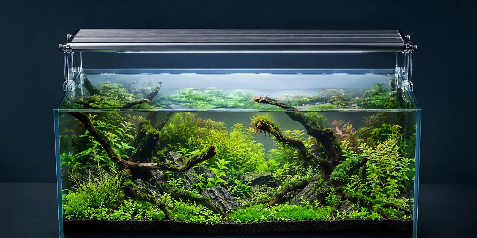 High-tech look on a budget with the WEEK AQUA M Series LED planted aquarium light creating a lush green aquascape without expensive full-spectrum fixtures.
