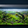 High-tech look on a budget with the WEEK AQUA M Series LED planted aquarium light creating a lush green aquascape without expensive full-spectrum fixtures.