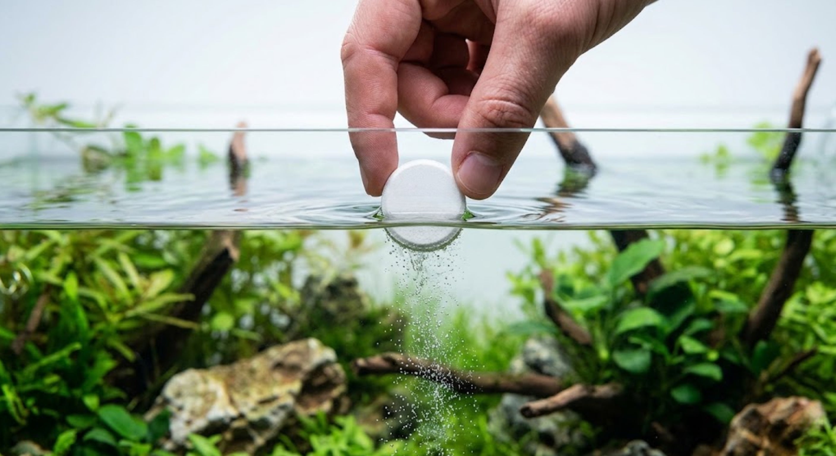 Aquarist dropping a PlantedPro CO2 tablet into a low-tech planted aquarium to instantly fix melting plants.