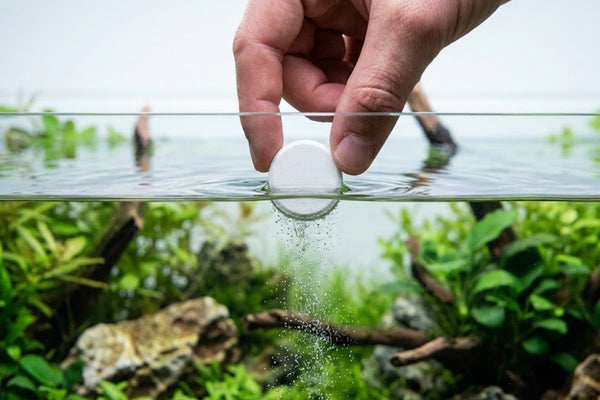 Aquarist dropping a PlantedPro CO2 tablet into a low-tech planted aquarium to instantly fix melting plants.