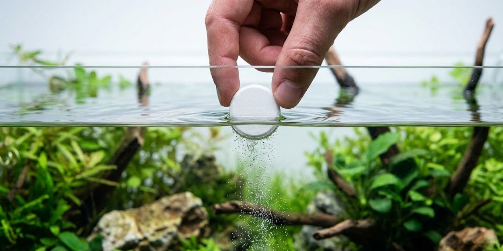 Aquarist dropping a PlantedPro CO2 tablet into a low-tech planted aquarium to instantly fix melting plants.