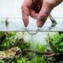 Aquarist dropping a PlantedPro CO2 tablet into a low-tech planted aquarium to instantly fix melting plants.