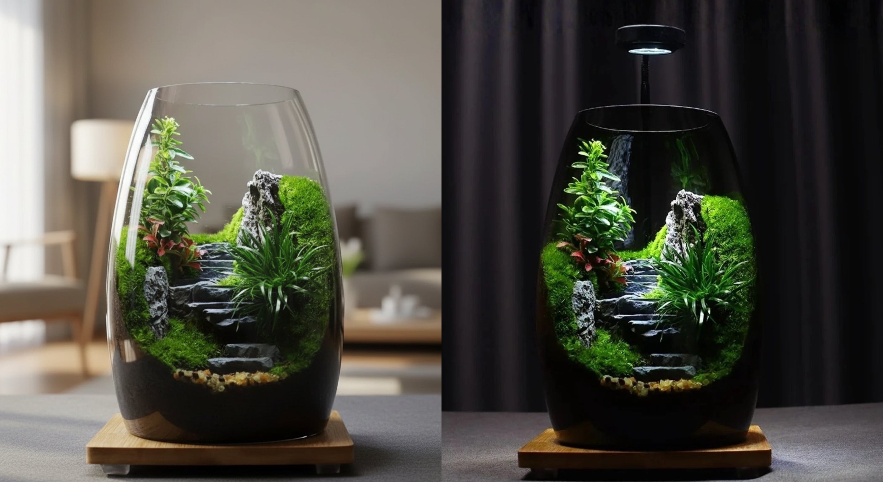 Green Hills - Moss Microlandscape [Including Internal Plants + Decoration]