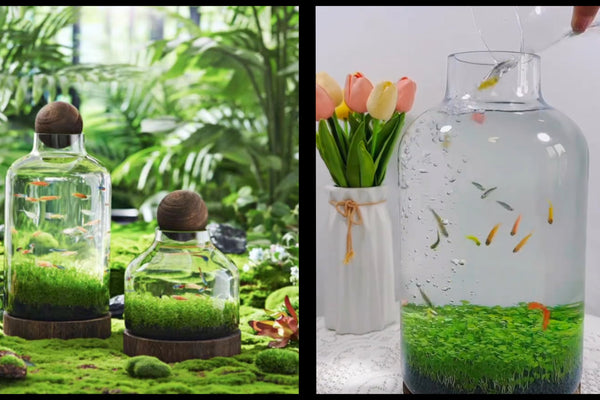 Drifting Bottle Ecological Aquatic Grass Tank
