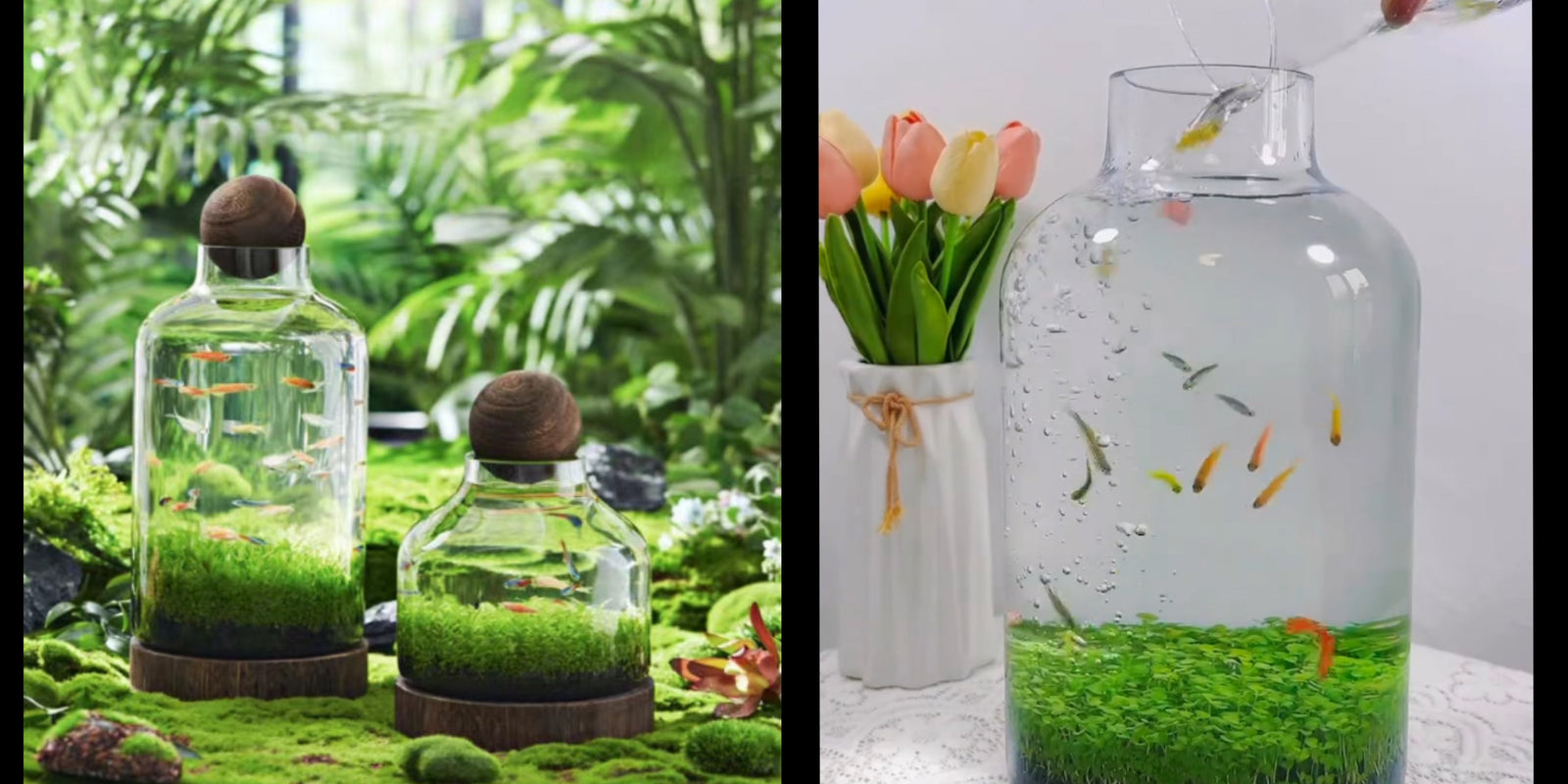 Drifting Bottle Ecological Aquatic Grass Tank