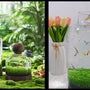 Drifting Bottle Ecological Aquatic Grass Tank