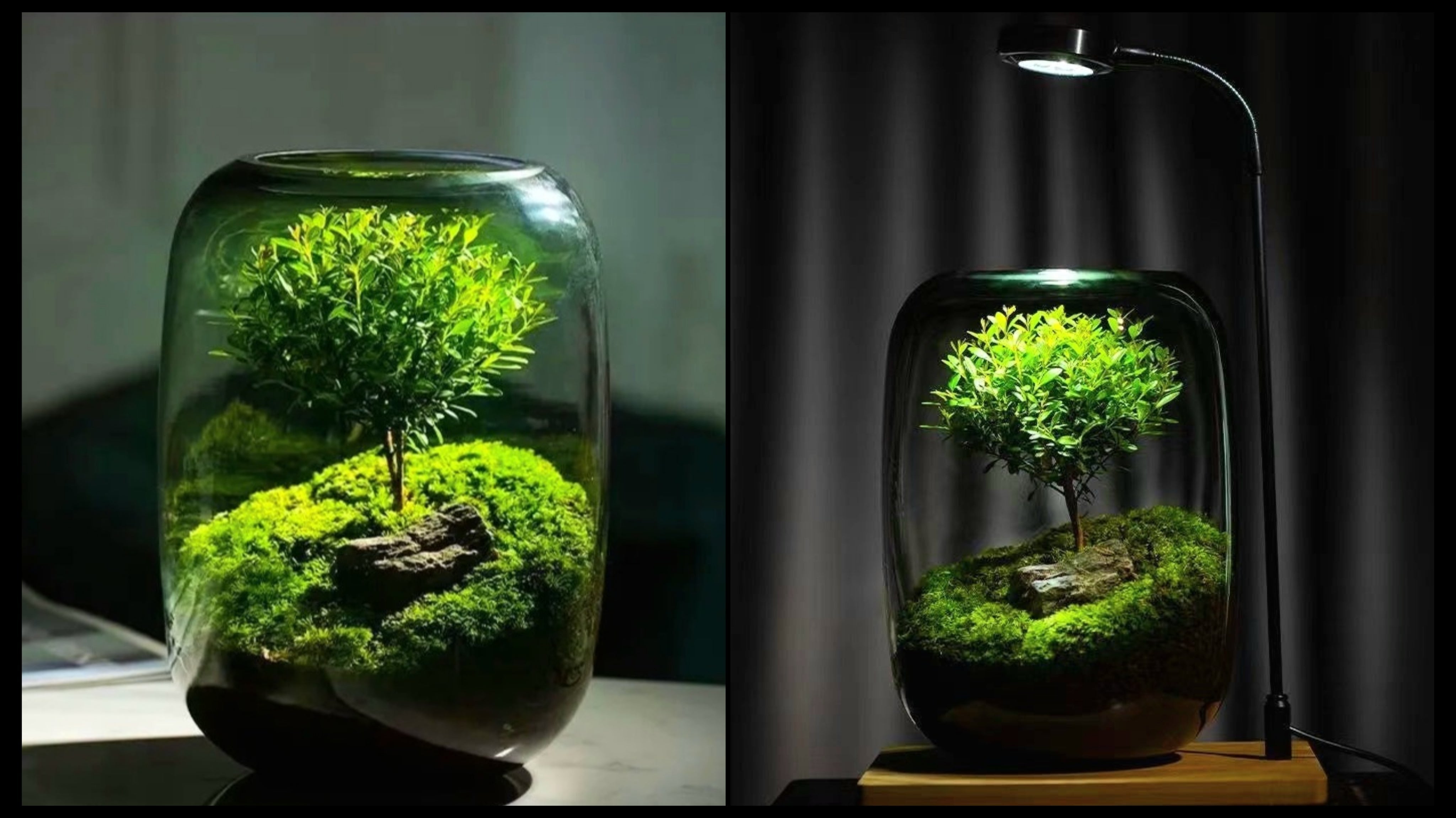 Tree of Life - Moss Microlandscape [Including Internal Plants + Decoration]