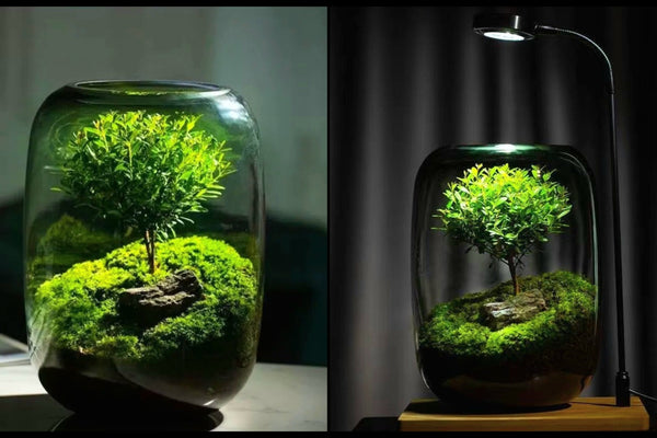 Tree of Life - Moss Microlandscape [Including Internal Plants + Decoration]