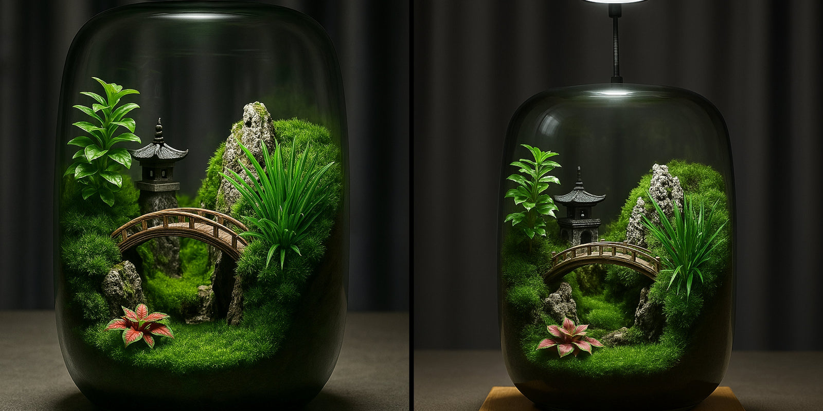 Pavilions Moss Microecological Landscape [Including Internal Plants + Decoration]