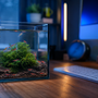 A beautifully aquascaped 5-gallon desktop nano tank featuring a discreet mini USB aquarium heater to maintain stable temperatures for tropical fish and dwarf shrimp.