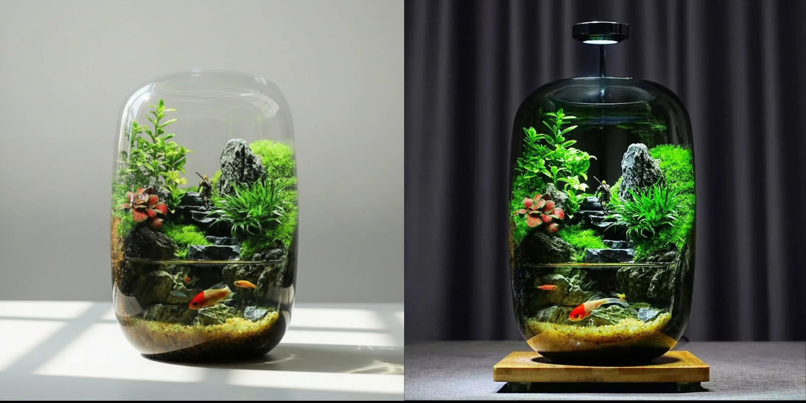 This Little Cloud Might Be the Most Beautiful Thing You Add to Your Tank This Year