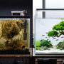 Split screen comparing a dying brown Java moss blob in a neglected aquarium to a stunning, thriving Java moss bonsai tree aquascape.