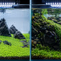 Split screen comparison of a perfectly flat, tight Glossostigma elatinoides carpet and a lush, cascading Monte Carlo aquascape in high-tech planted tanks.