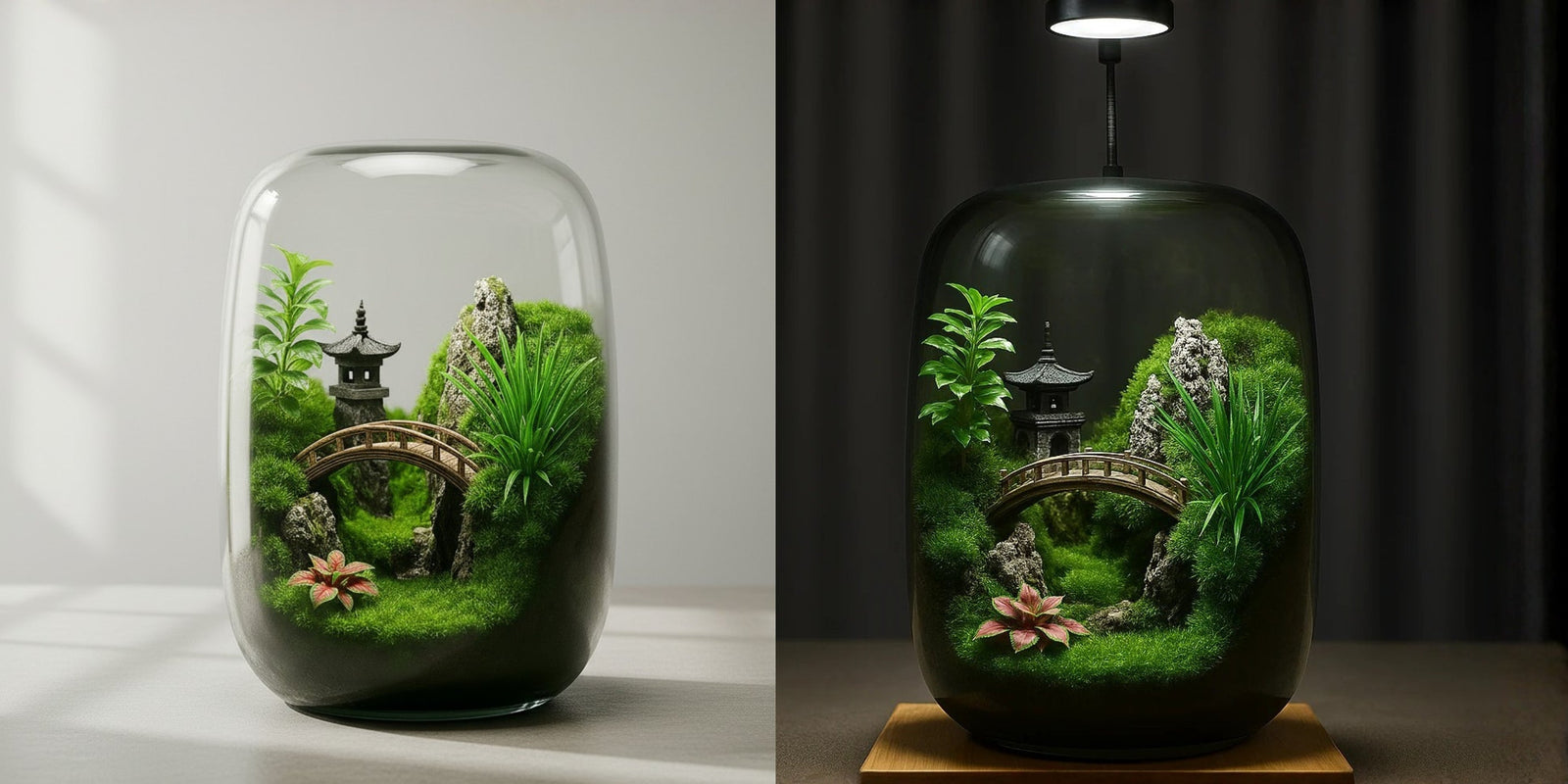 Pavilions Moss Microecological Landscape [Including Internal Plants + Decoration]