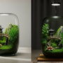 Pavilions Moss Microecological Landscape [Including Internal Plants + Decoration]