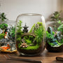 The Ultimate Terrarium Guide (And How to Choose the Right One) | Planted Pro