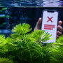 Smartphone displaying an online checkout shipping restriction error for live aquarium plants next to a planted tank.
