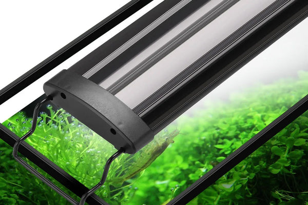 The Ultimate LED Grow Light for Your Aquarium Plants