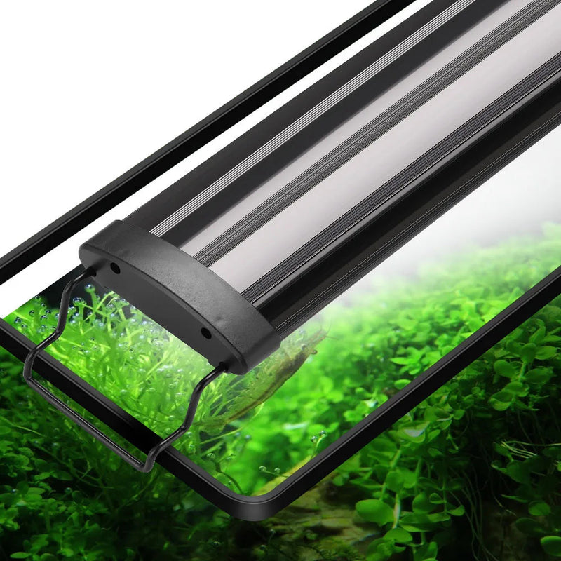 The Ultimate LED Grow Light for Your Aquarium Plants