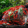 Red cherry shrimp swarming a stainless steel shrimp feeding dish filled with blanched vegetables in a planted nano tank.