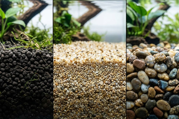 Side-by-side macro comparison of aquarium soil, cosmetic sand, and standard gravel to help you choose the best substrate for a planted aquarium.