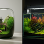 Split-screen comparison of a low-maintenance moss terrarium versus a vibrant, high-tech planted aquarium for indoor nature setups.