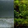 Split screen comparing a bare, stressful glass aquarium on the left to a lush, breeding-ready low tech planted tank setup with live plants for cherry shrimp on the right.