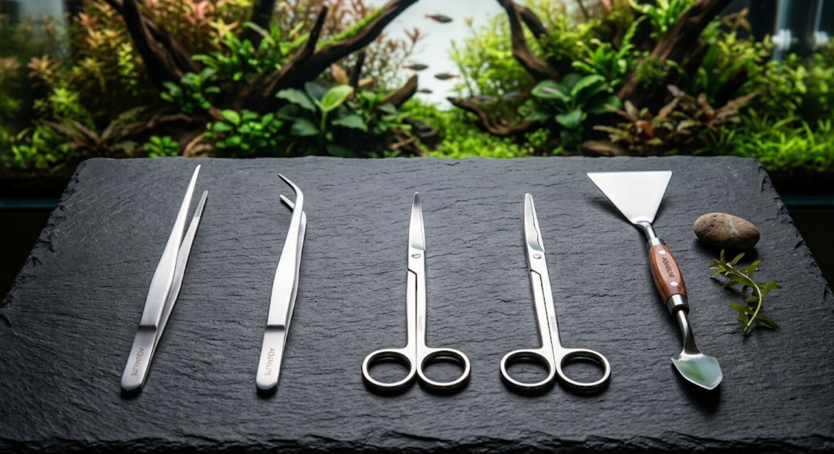 A premium 5-piece stainless steel aquascaping tool kit laid out on a dark slate surface in front of a lush planted aquarium.