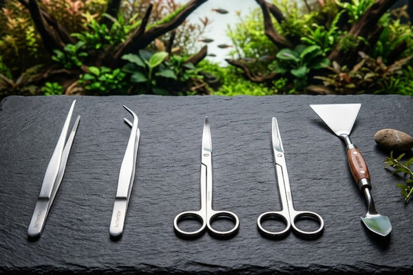 A premium 5-piece stainless steel aquascaping tool kit laid out on a dark slate surface in front of a lush planted aquarium.