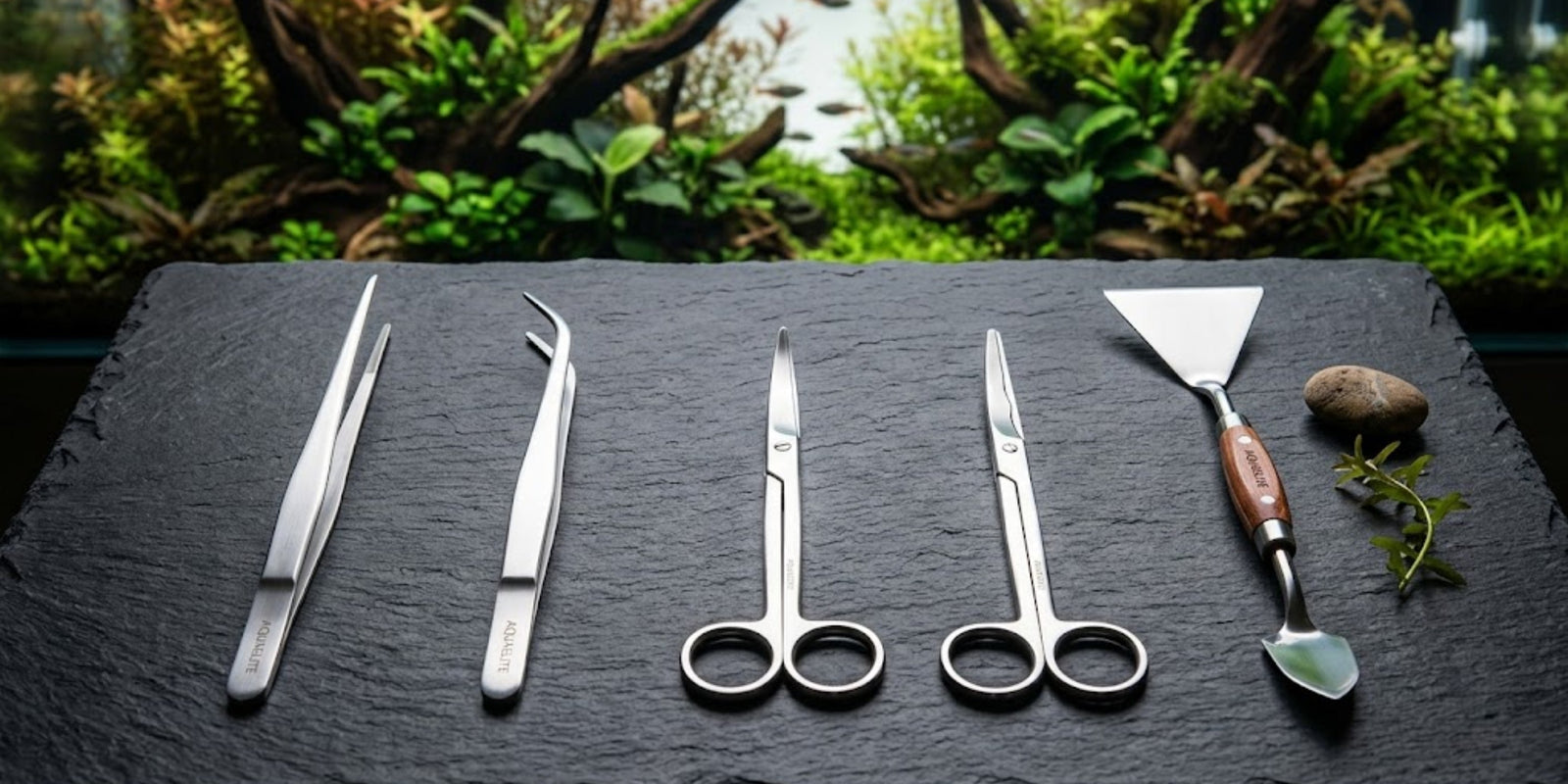 A premium 5-piece stainless steel aquascaping tool kit laid out on a dark slate surface in front of a lush planted aquarium.