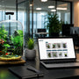Shopping online for a unique plant gift, featuring a laptop and a pre-built Zen Pagoda Mini Paludarium desk terrarium.