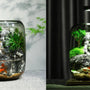 Day and night view of Mini Haven micro-landscape aquarium with LED lighting and flowing water.