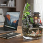 Zen Pagoda Mini Paludarium Review: The Best Desktop Nature Escape That Runs Itself