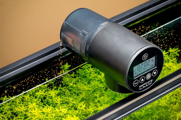 Revolutionize Your Fish Care Routine with This Automatic Feeder - PlantedPro